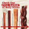 imageNatural Farm Bully Sticks OdorFree 12 Inch 5 Count 88 Oz Per Bag 100 Beef Chews GrassFed NonGMO Fully Digestible Dental Treats to Keep Your Small and Medium Dogs Busy and Happy6Inch 12 Oz Pack