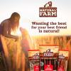 imageNatural Farm Bully Chips 46 Inch 8 Oz Digestible Beef Cheek from GrassFed Cows NonGMO GrainFree Natural LongLasting Dog Chews for Small Medium ampamp Large Dogs Great Rawhide Alternative1012 Bully Springs 5 Pack