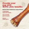imageNatural Farm Dog Bones for Large Dogs 56 Inch 2Pack 100 Beef Bone Marrow Dog Treats High in Minerals ampamp Vitamins GrainFree LongLasting Bones Chews Supports Dental Health3 Pack Smoked Beef Shin Bones