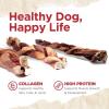 imageNatural Farm OdorFree Braided Bully Sticks 6 Inch 5 Pack  100 GrassFed Beef GrainFree Low Fat ampamp Fully Digestible Best Dental Treats  Safest Long Lasting Pizzle Chews to Keep Your Dog BusyPower Braids