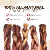 imageNatural Farm OdorFree Braided Bully Sticks 6 Inch 5 Pack  100 GrassFed Beef GrainFree Low Fat ampamp Fully Digestible Best Dental Treats  Safest Long Lasting Pizzle Chews to Keep Your Dog BusyPower Braids